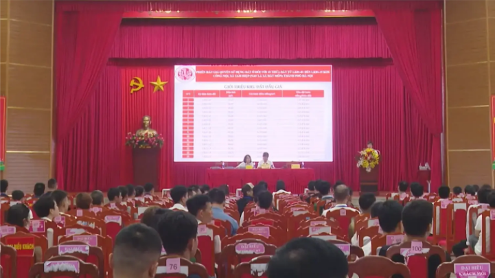 Xử lý mạnh tay hành vi bỏ cọc khi đấu giá đất